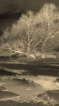 Sepia + Negatyw