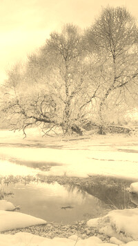 Szary + Sepia
