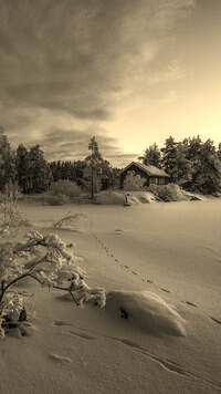 Szary + Sepia