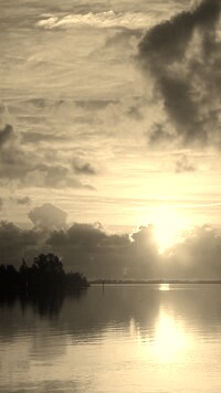 Sepia