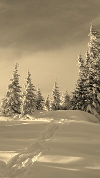 Szary + Sepia