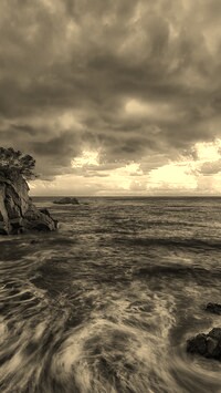 Szary + Sepia