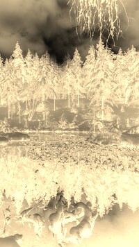 Sepia + Negatyw