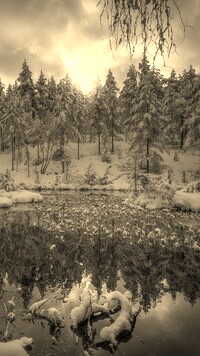 Szary + Sepia