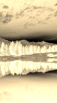 Sepia + Negatyw