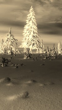 Sepia + Negatyw