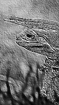 Skamielina