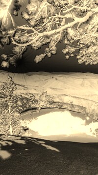 Sepia + Negatyw
