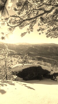 Szary + Sepia