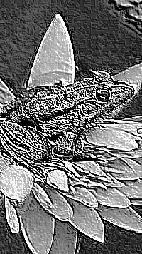 Skamielina