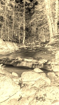 Sepia + Negatyw