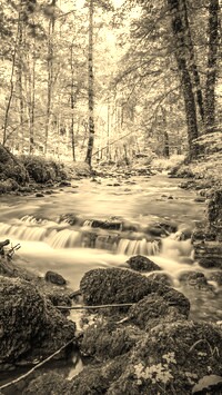 Sepia