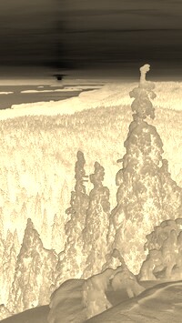 Sepia + Negatyw