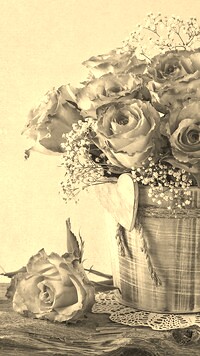 Szary + Sepia