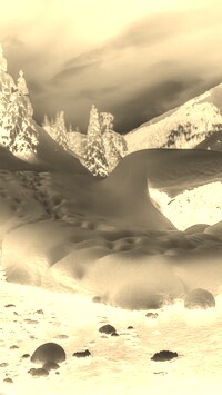 Sepia + Negatyw