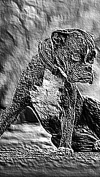 Skamielina