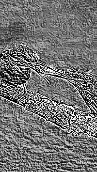Skamielina