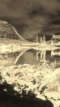 Sepia + Negatyw