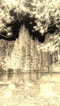 Sepia + Negatyw