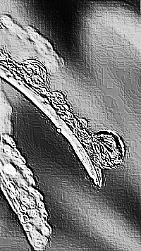 Skamielina