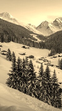 Szary + Sepia