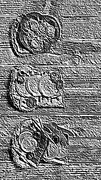 Skamielina
