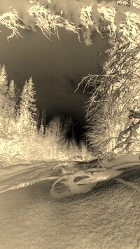 Sepia + Negatyw