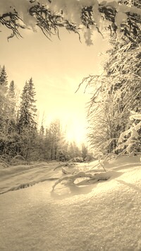 Szary + Sepia
