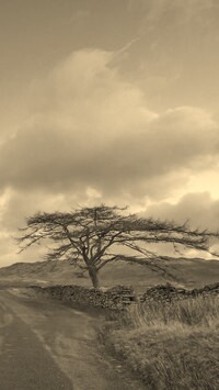 Szary + Sepia