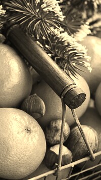 Szary + Sepia
