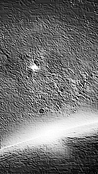 Skamielina