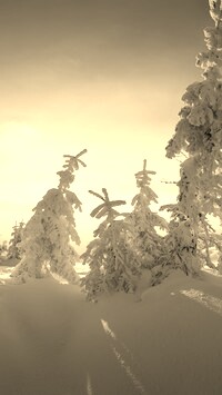 Szary + Sepia