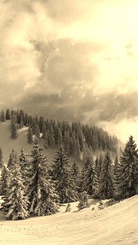 Sepia