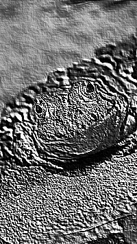 Skamielina