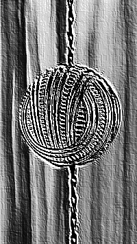 Skamielina