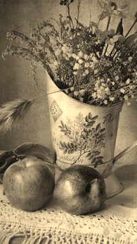 Szary + Sepia