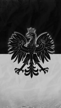 Szary + Negatyw