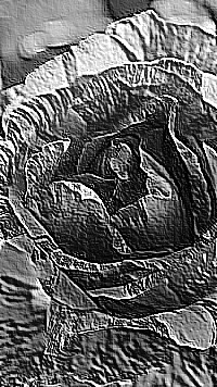 Skamielina