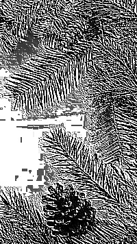 Skamielina