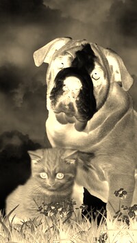 Sepia + Negatyw