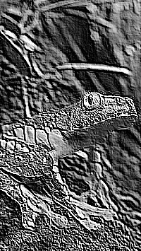 Skamielina