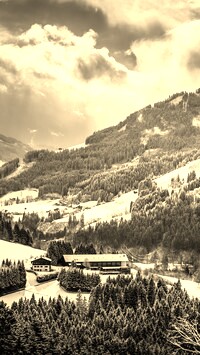 Sepia