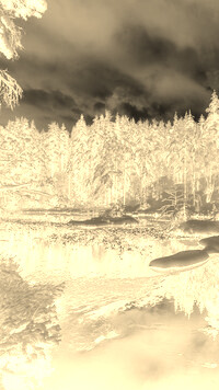 Sepia + Negatyw