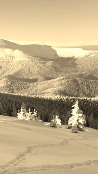 Sepia