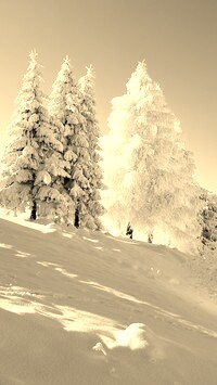 Szary + Sepia