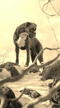 Szary + Sepia