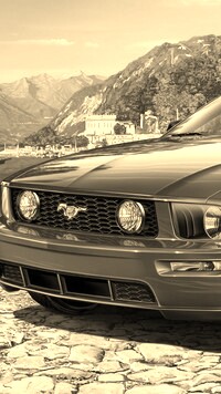 Szary + Sepia