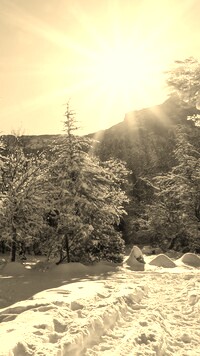 Sepia