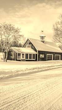 Sepia