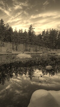 Szary + Sepia
